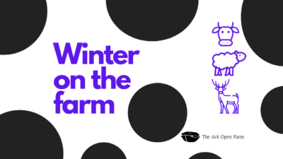Winter On The Farm